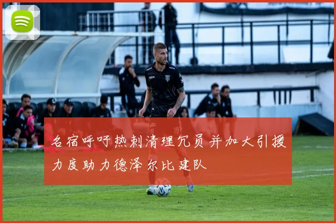名宿呼吁热刺清理冗员并加大引援力度助力德泽尔比建队