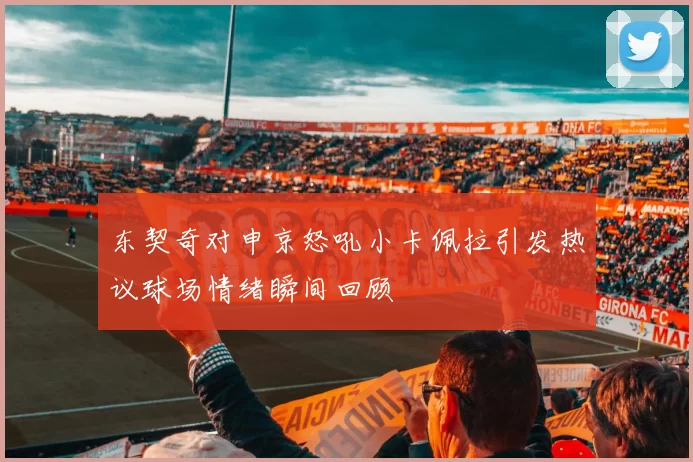 东契奇对申京怒吼小卡佩拉引发热议球场情绪瞬间回顾
