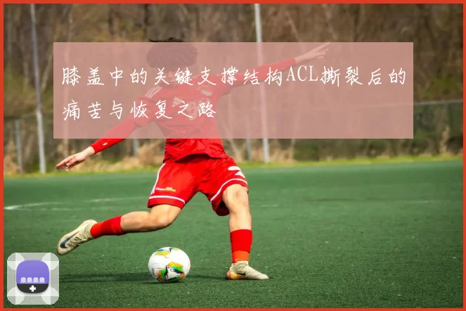 膝盖中的关键支撑结构ACL撕裂后的痛苦与恢复之路